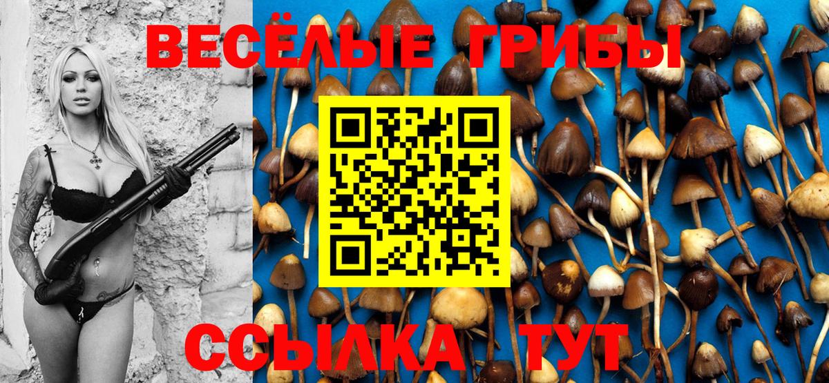 Ишим  Галлюциногенные грибы Psilocybe  Вход с VPN 