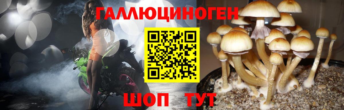 Галлюциногенные грибы Magic Shrooms Ишим